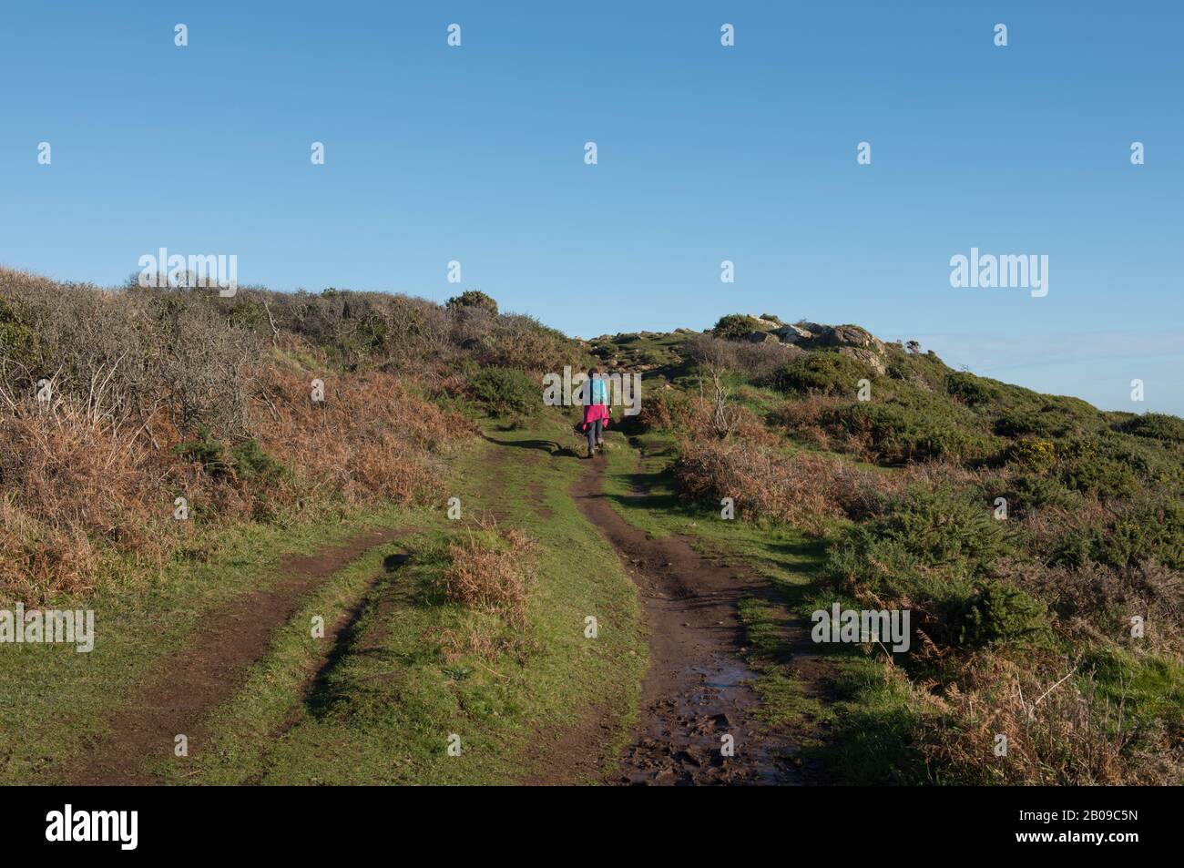 Femmina a piedi su un percorso Di Fango Sporco sul South West Coast Path Tra Lizard Point e Coverack in Rural Cornwall, Inghilterra, Regno Unito Foto Stock