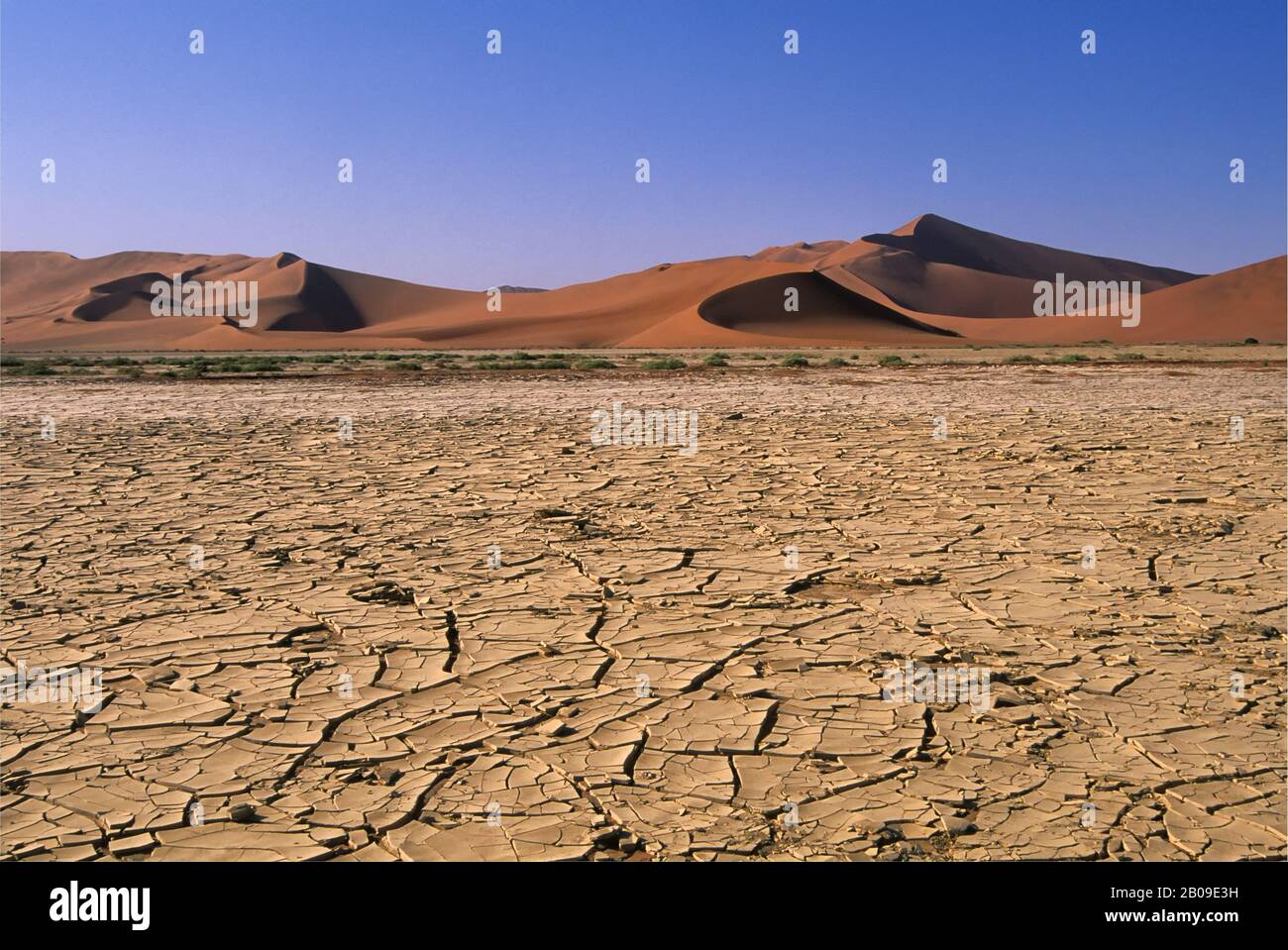 NAMIBIA, PARCO NAMIB-NAUKLUFT, SOSSUSVLEI, DUNE DI SABBIA (BIG DADDY) CON LAGO CRACKED, DRIED-UP Foto Stock
