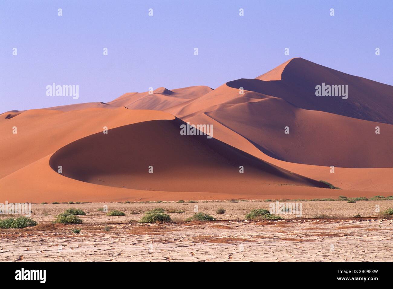 NAMIBIA, NAMIB-NAUKLUFT PARK, SOSSUSVLEI, 'BIG DADDY' DUNE SABBIA, LA PIÙ GRANDE DUNE DEL MONDO Foto Stock