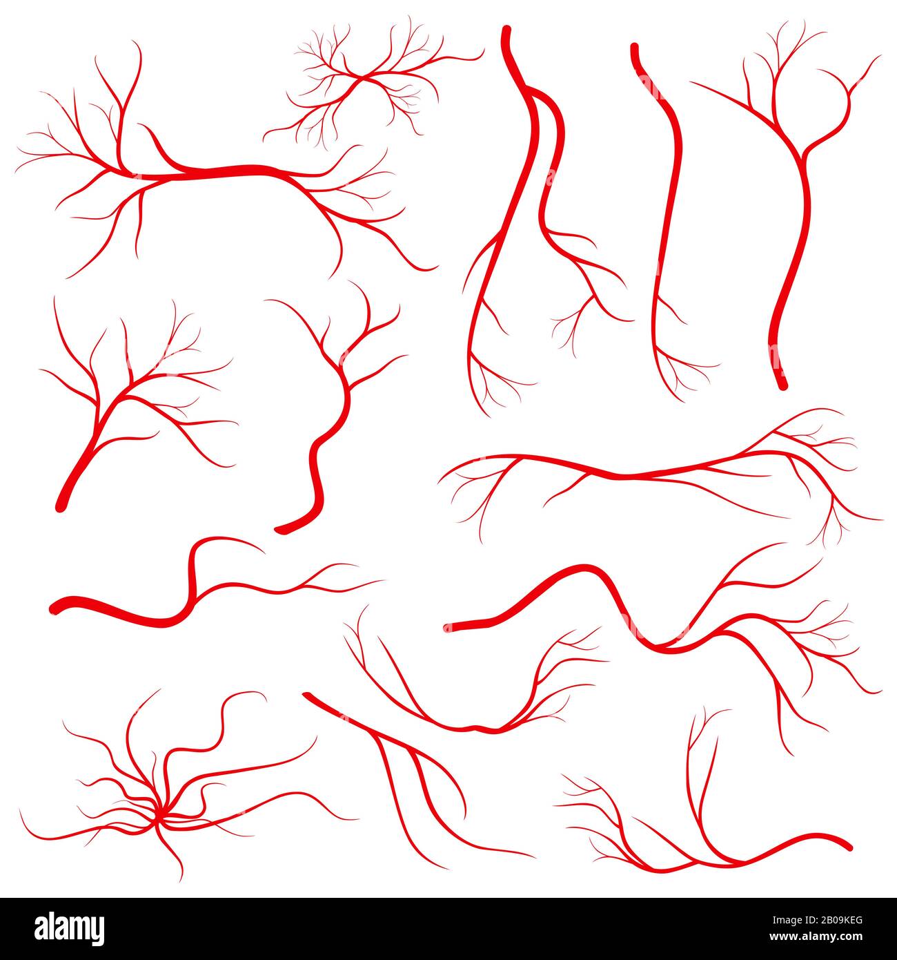 Vene dell'occhio umano, vaso, arterie del sangue isolate su vettore bianco. Gruppo di vene del sangue, immagine di vene rosse salute illustrazione Illustrazione Vettoriale
