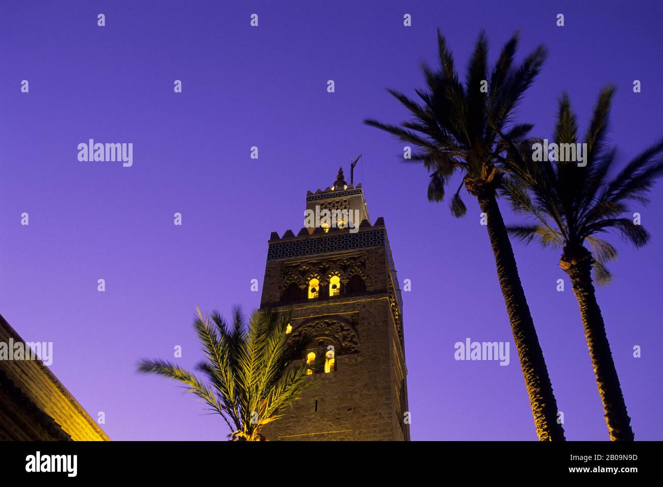 MAROCCO, MARRAKECH, MOSCHEA DI KOUTOUBIA, MINARETO, ALBERI DI PALMA, FOTOGRAFIA NOTTURNA Foto Stock