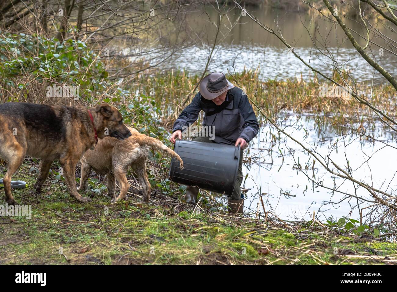 Un uomo recupera un contenitore di plastica che è soffiato in un lago. Ha i suoi due cani con lui. Foto Stock