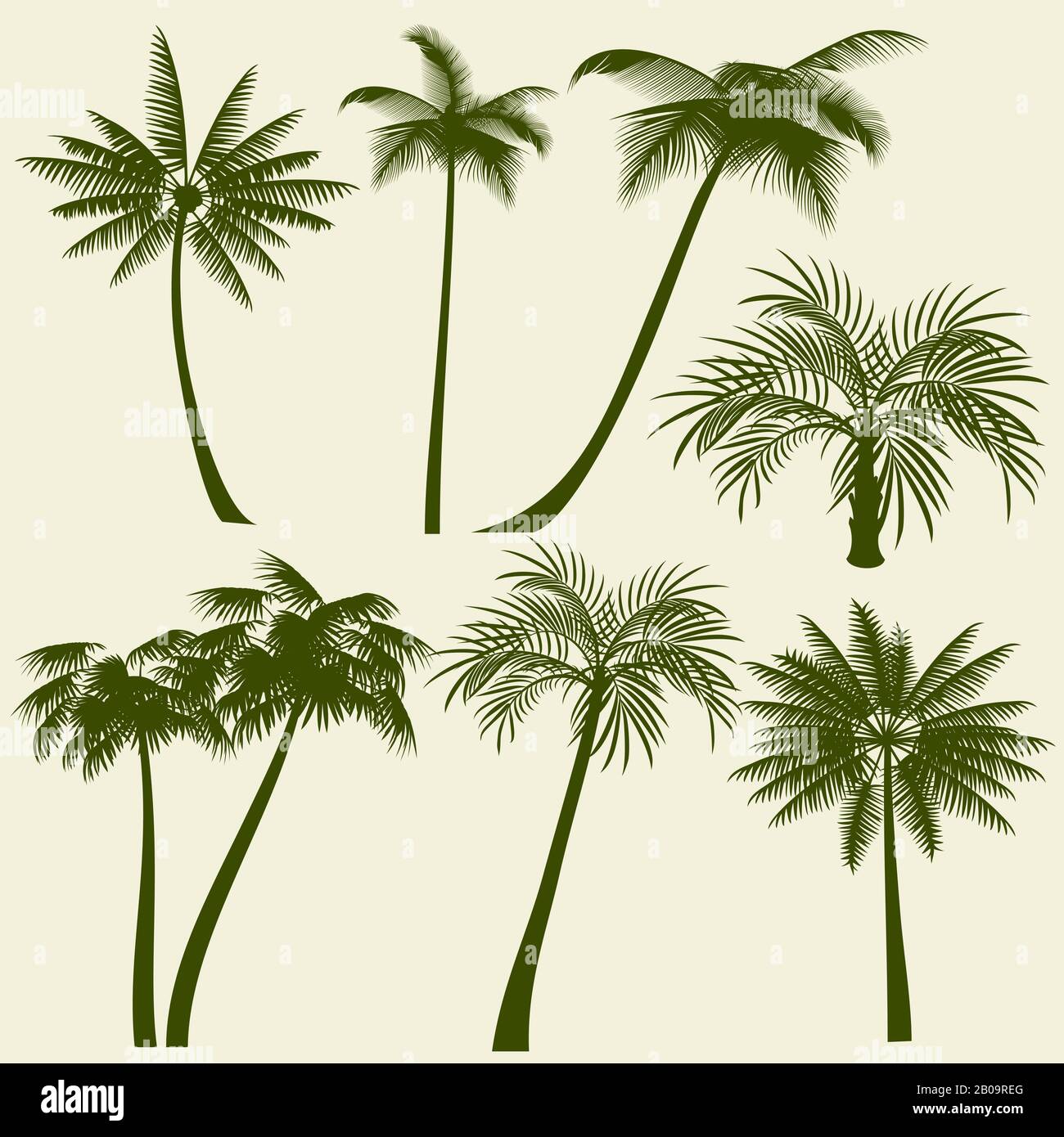 Estate vacanza palme sagome vettore. Palma verde spiaggia tropicale, illustrazione di paradiso delle palme da piante Illustrazione Vettoriale