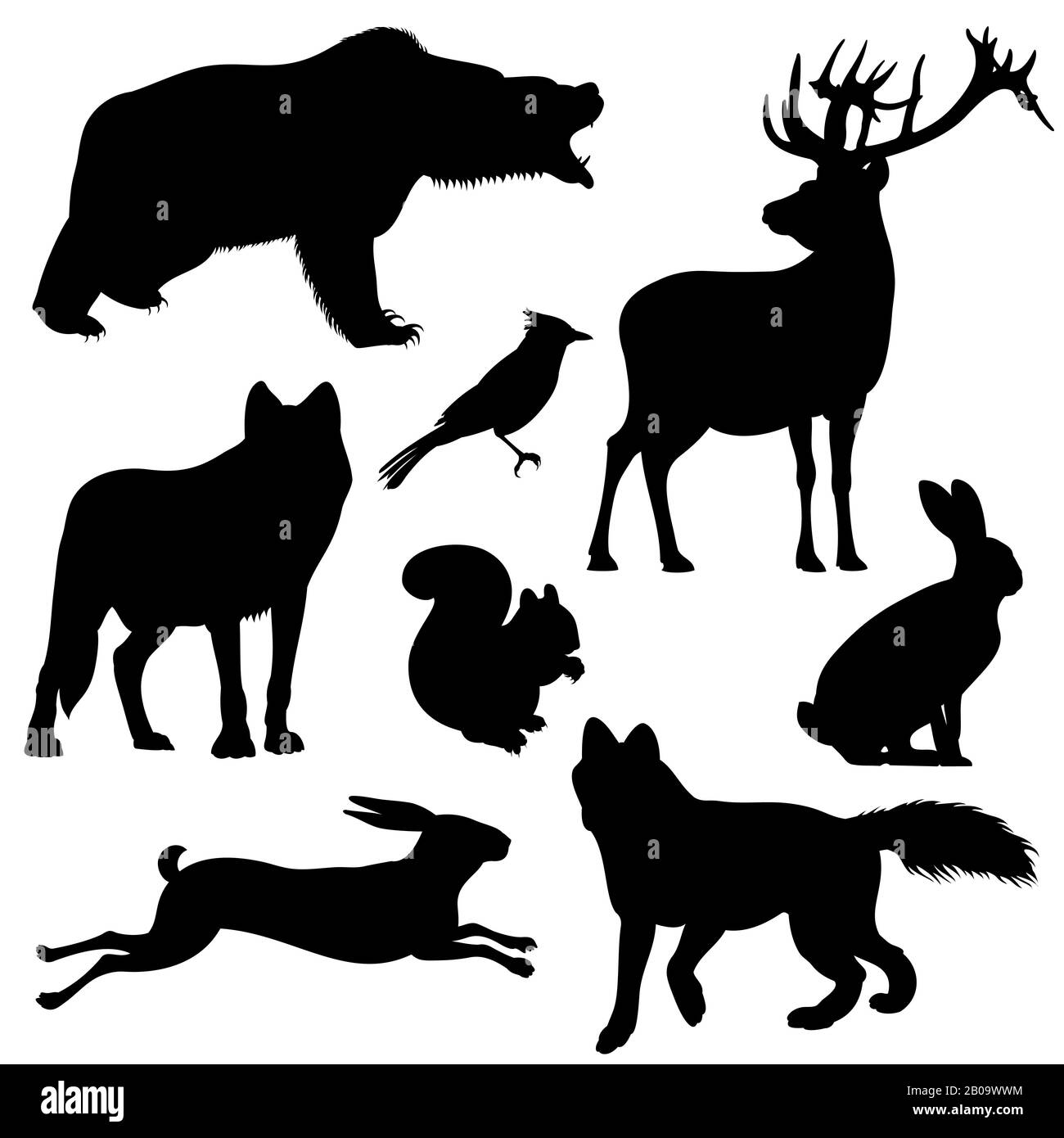 Set di sagome vettoriali Forest Animals. Mammifero animale Predator, illustrazione della silhouette nera animale Illustrazione Vettoriale
