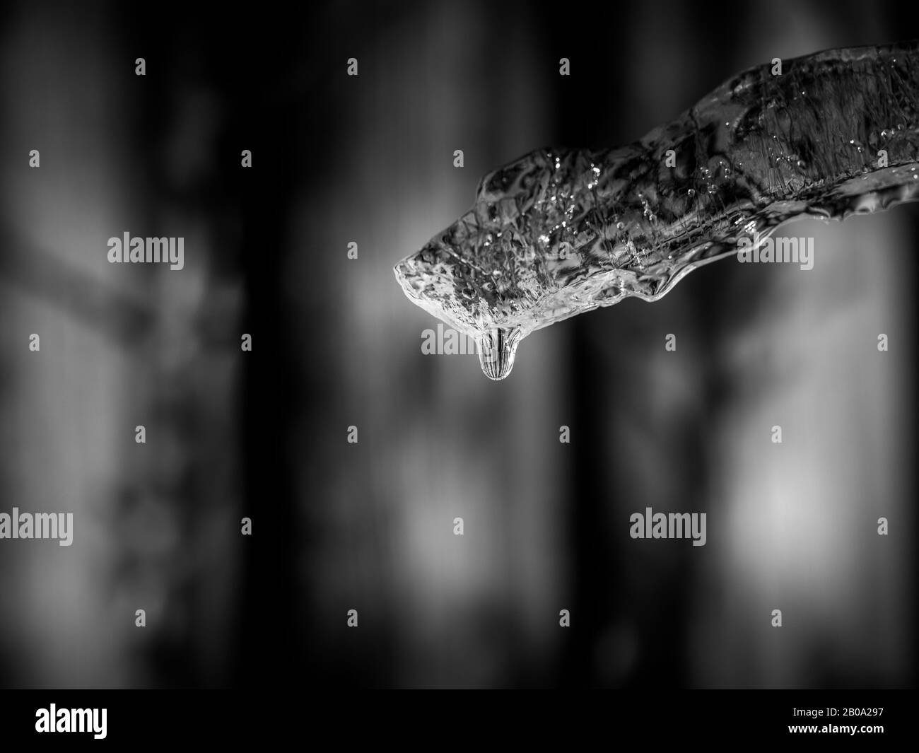 Fusione di ghiaccio con goccia d'acqua su sfondo sfocato, primo piano Foto Stock