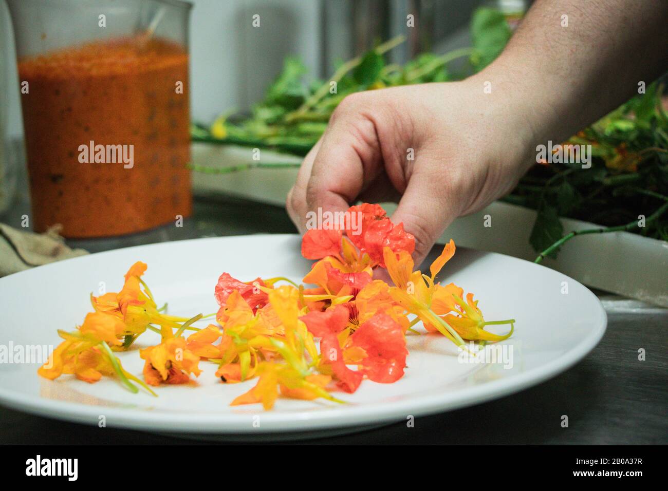 Preparazione di insalata con fiori commestibili e verdure verdi Foto Stock