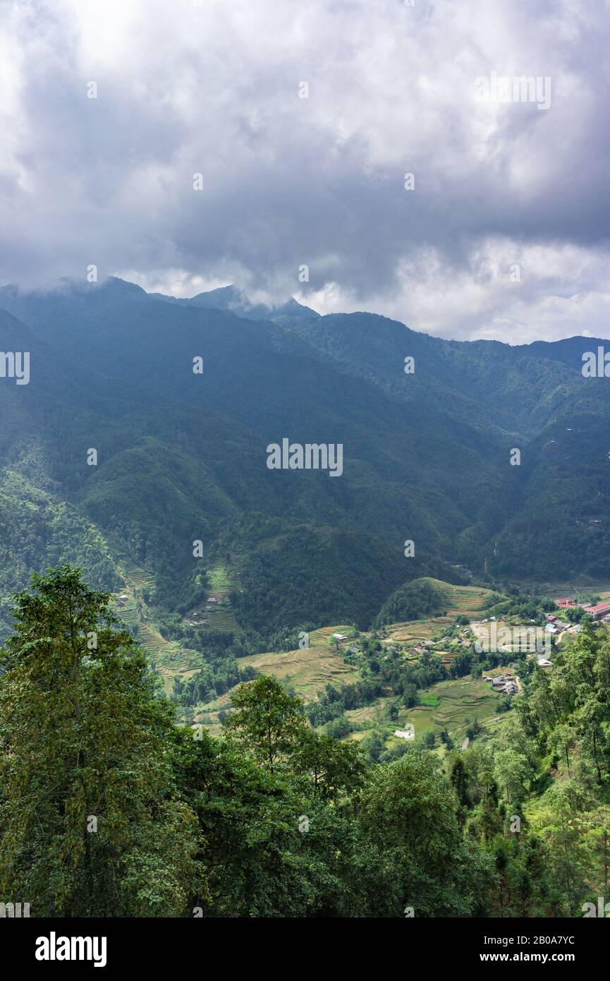 Splendido scenario, popolare meta turistica di trekking. Risaie a terrazze. Vista sulle montagne nelle nuvole. Vista dalla funicolare Sapa, Lao Cai Prov Foto Stock