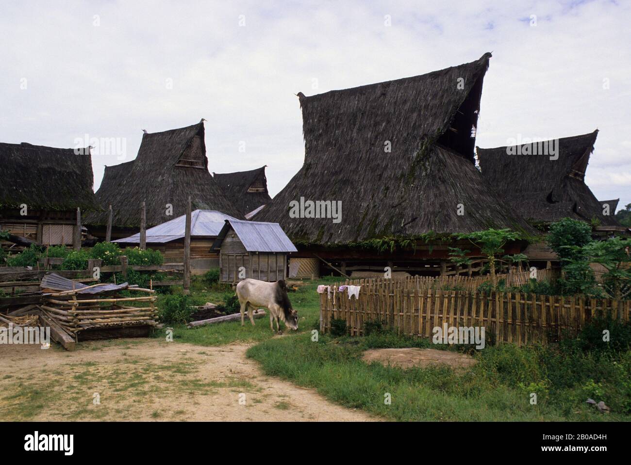 ASIA, INDONESIA, SUMATRA, LINGGA, KARO BATAK VILLAGGIO, CASE TRADIZIONALI Foto Stock