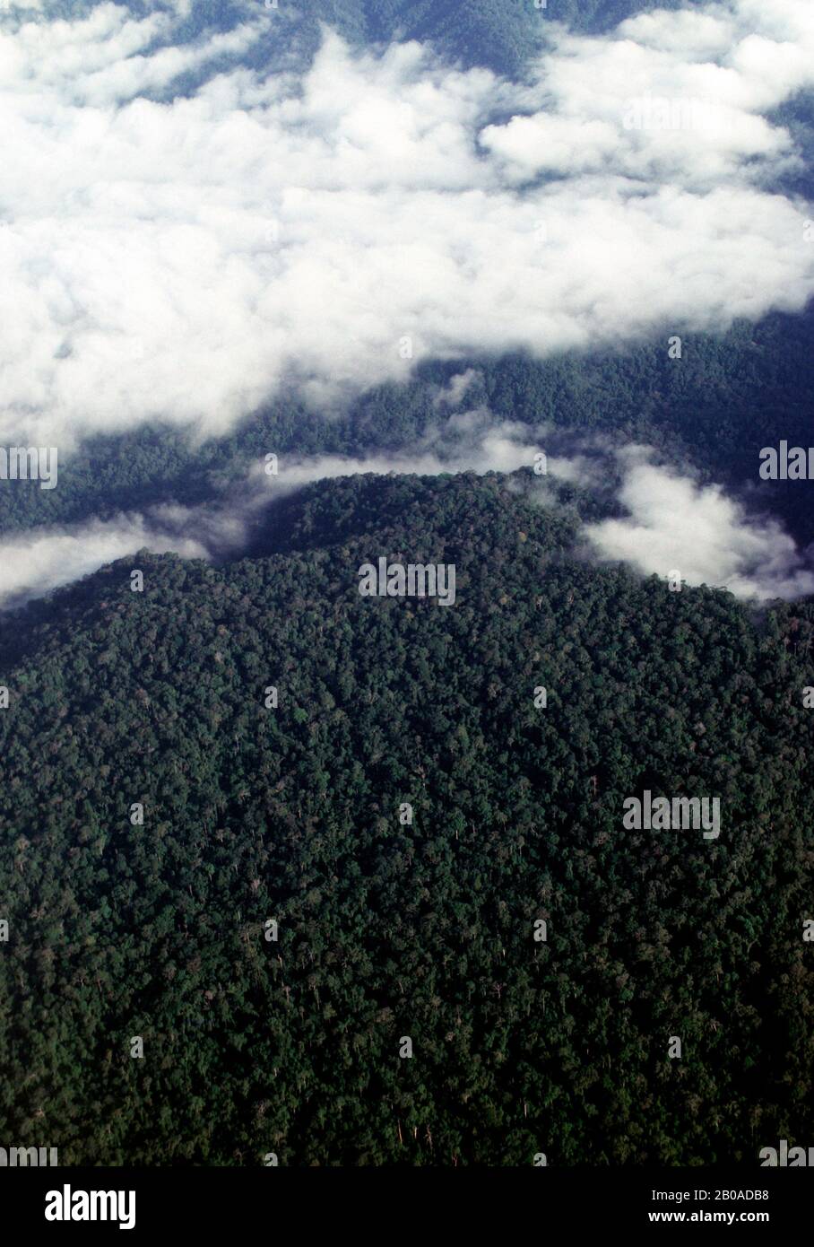 INDONESIA, SUMATRA, INTERNO, VISTA AEREA DELLA FORESTA PLUVIALE TROPICALE Foto Stock