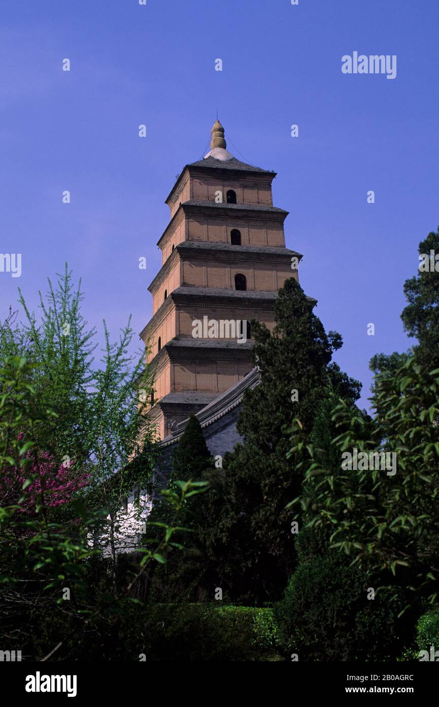 CINA, PROVINCIA SHAANXI, XIAN, GRANDE PAGODA D'OCA SELVAGGIA Foto Stock