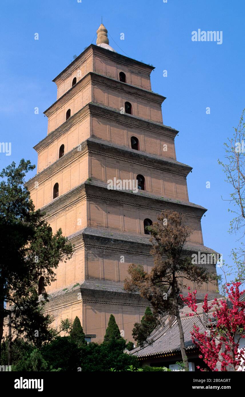 CINA, PROVINCIA SHAANXI, XIAN, GRANDE PAGODA D'OCA SELVAGGIA Foto Stock