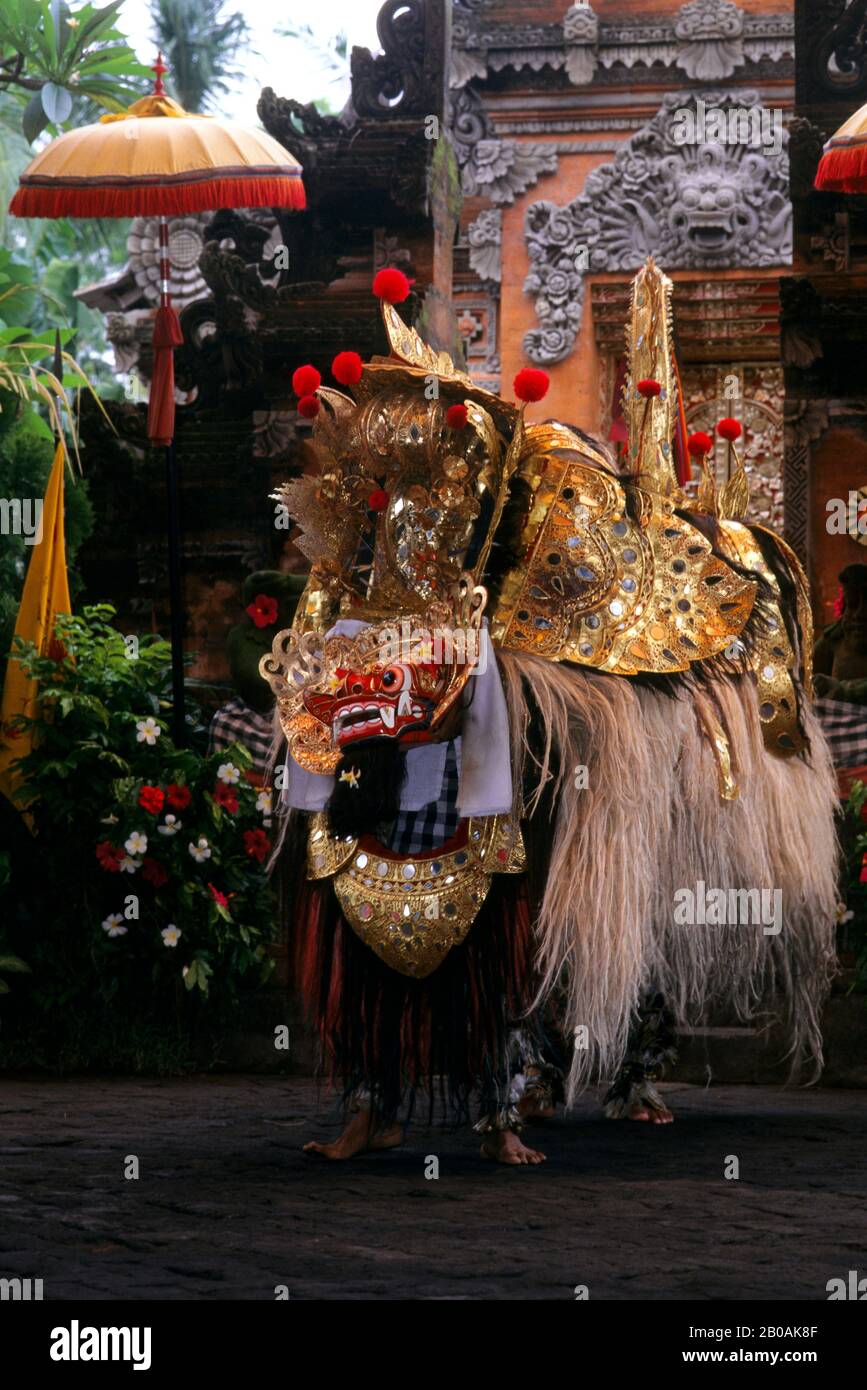 INDONESIA, BALI, BARONG DANCE, BARONG (ANIMALE MITOLOGICO) Foto Stock