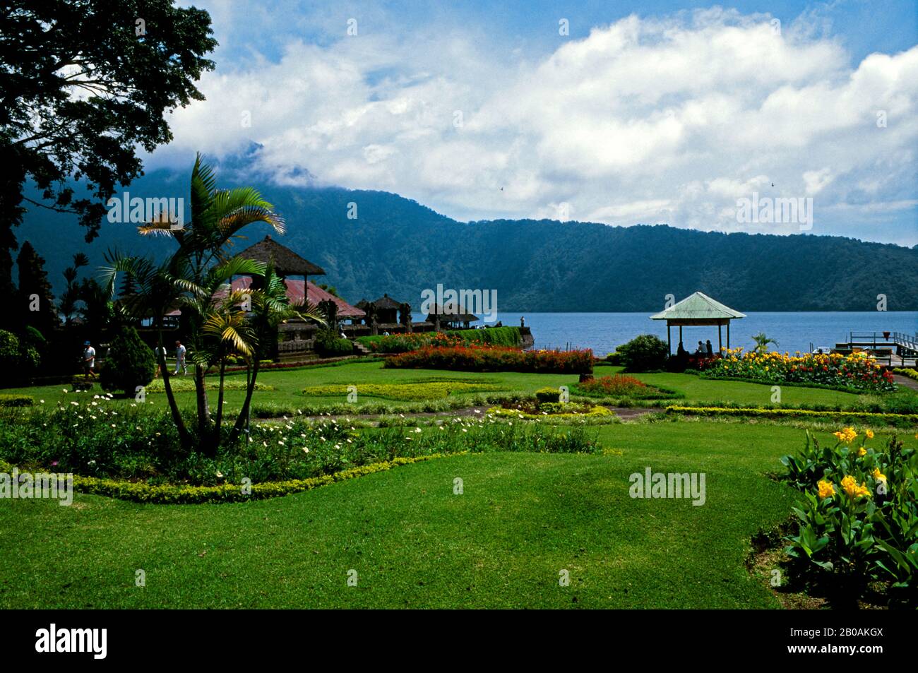 INDONESIA, BALI, LAGO BRATAN, PARCO CON GIGLI DI CANNA Foto Stock