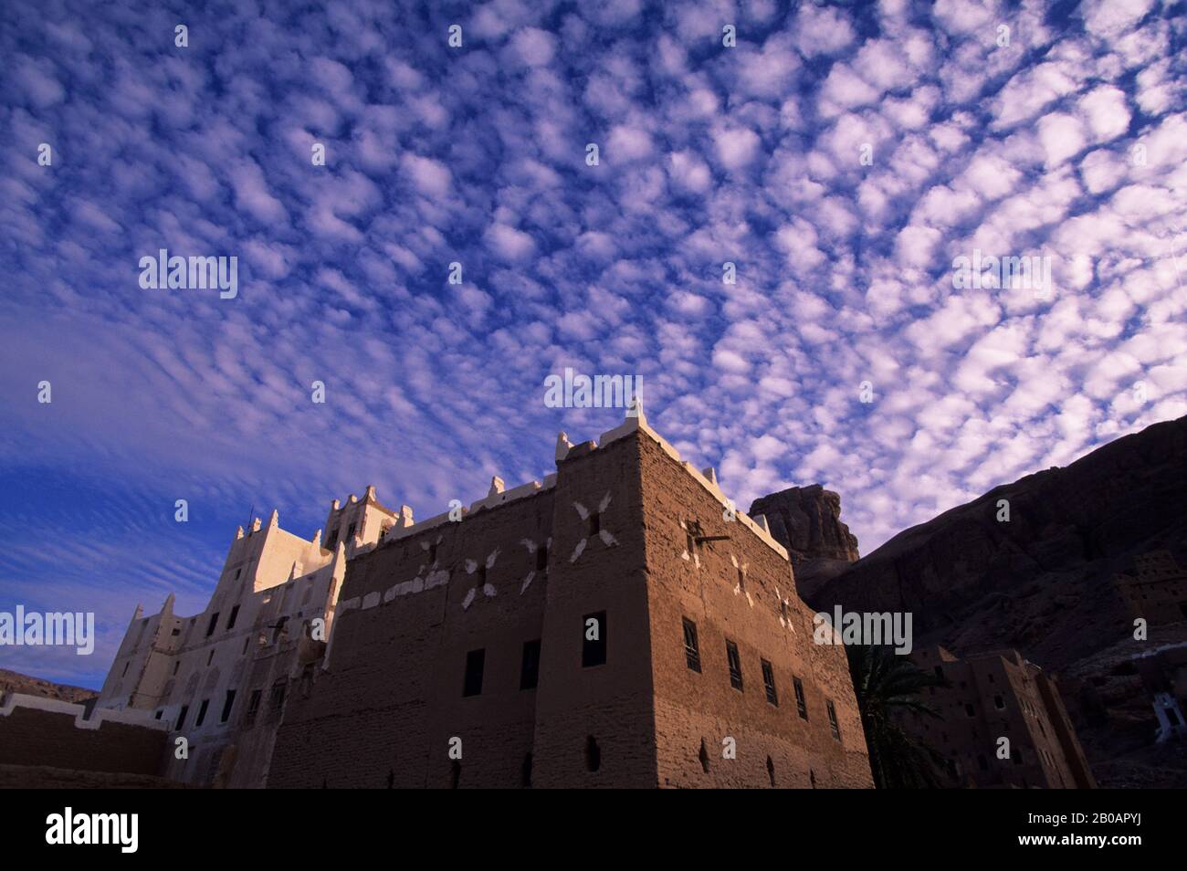 YEMEN, WADI HADRAMAWT, VICINO A SAY'UN, PICCOLO VILLAGGIO CON EDIFICI IN MATTONI DI FANGO Foto Stock