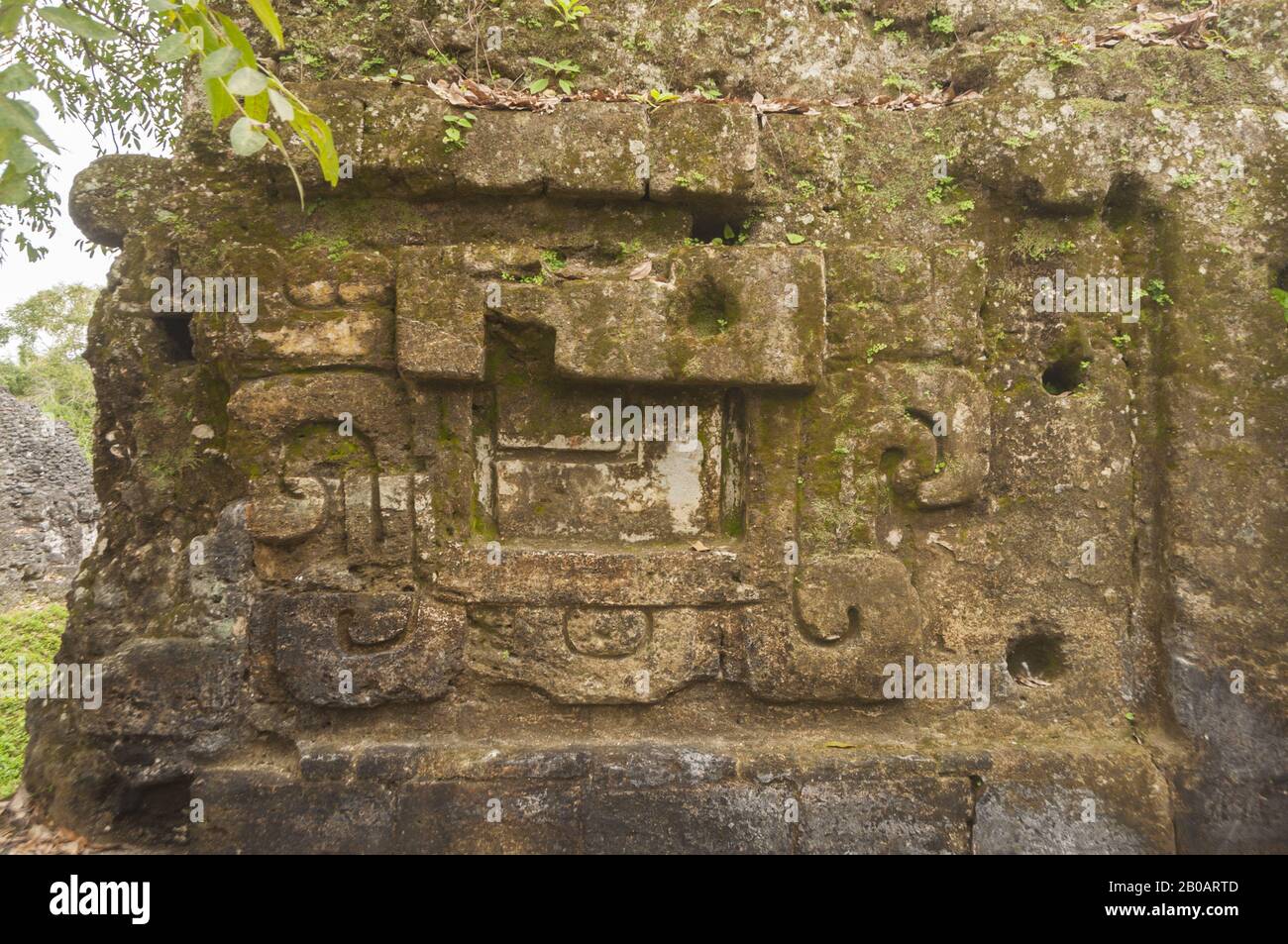 Guatemala, Parco Nazionale Di Tikal, Acropoli Centrale, Scultura In Pietra Maya; Patrimonio Dell'Umanità Dell'Unesco Foto Stock
