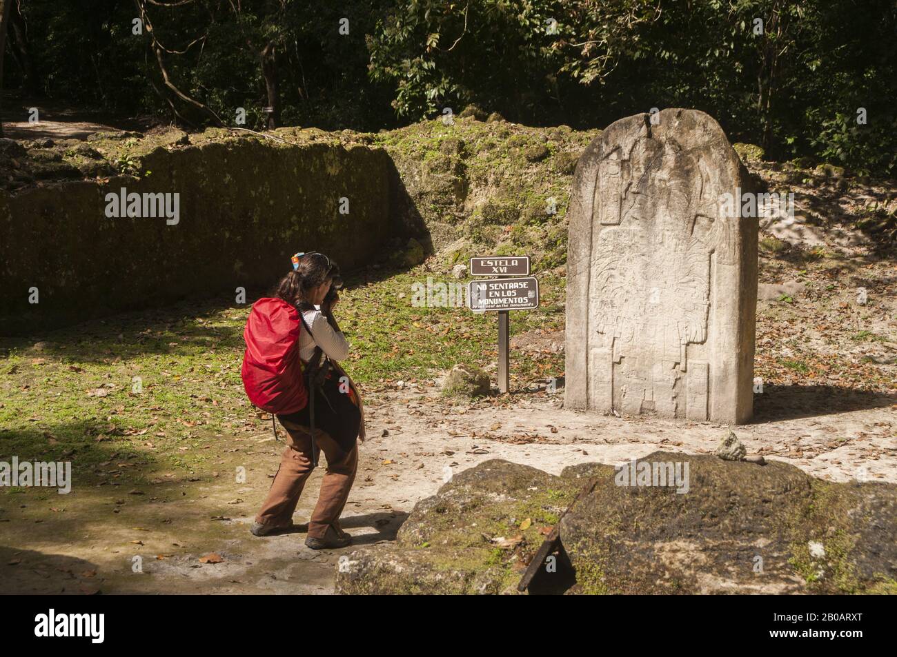 Guatemala, Parco Nazionale di Tikal, Templo IV, 741 DC, visitatore che fotografa la pietra maya scolpita stele; Patrimonio Mondiale dell'UNESCO Foto Stock