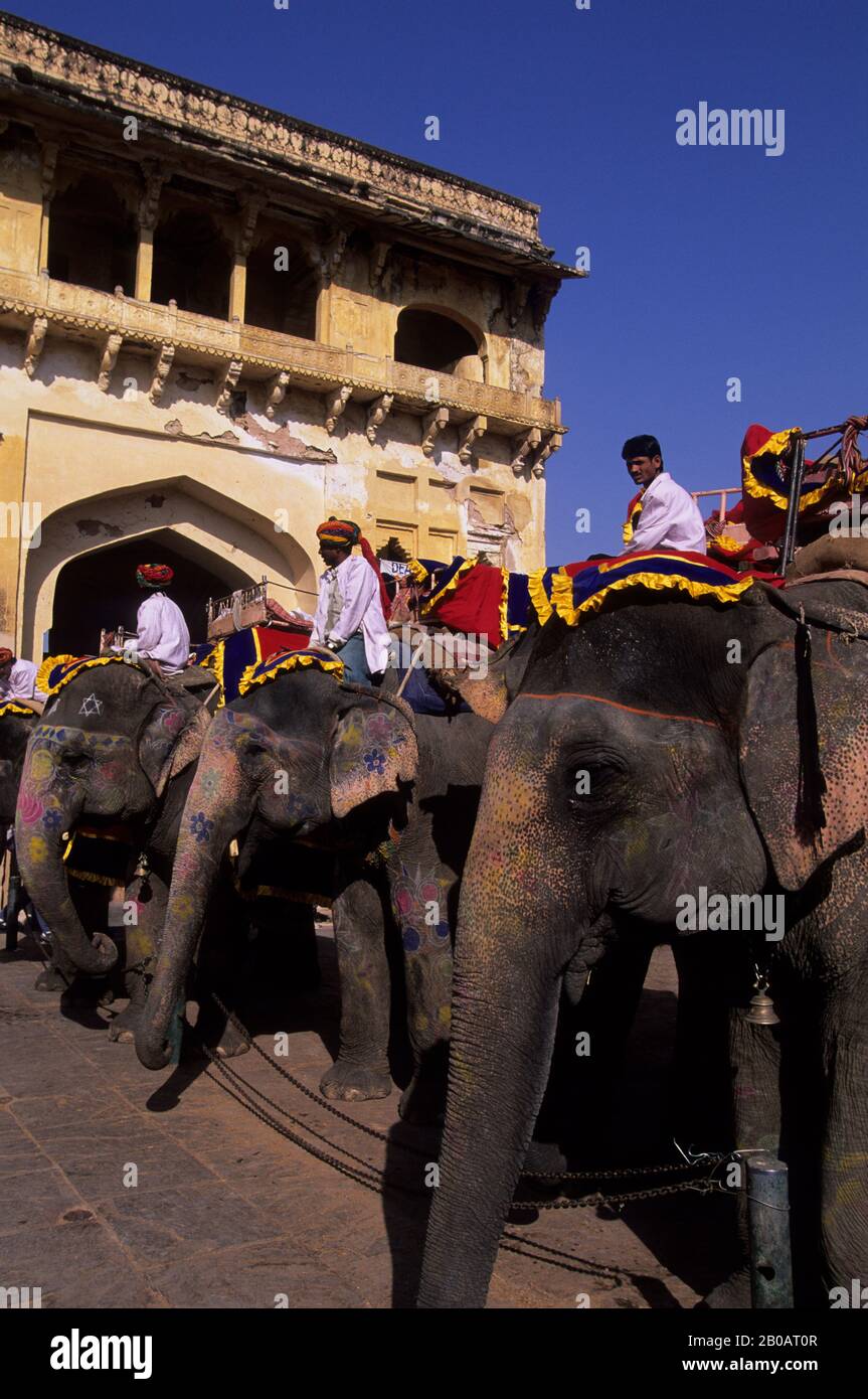 INDIA, RAJASTHAN, JAIPUR, FORTE AMBRATO, ELEFANTI E MAHOUTS Foto Stock