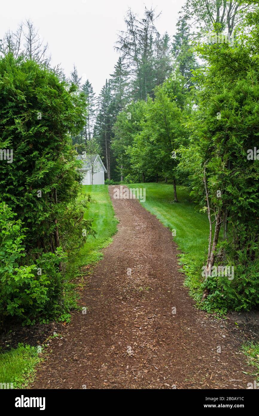 Strada di pacciame marrone attraverso Thuja occidentalis - siepe albero di cedro che conduce ad un capannone di giardino all'inizio dell'estate. Foto Stock