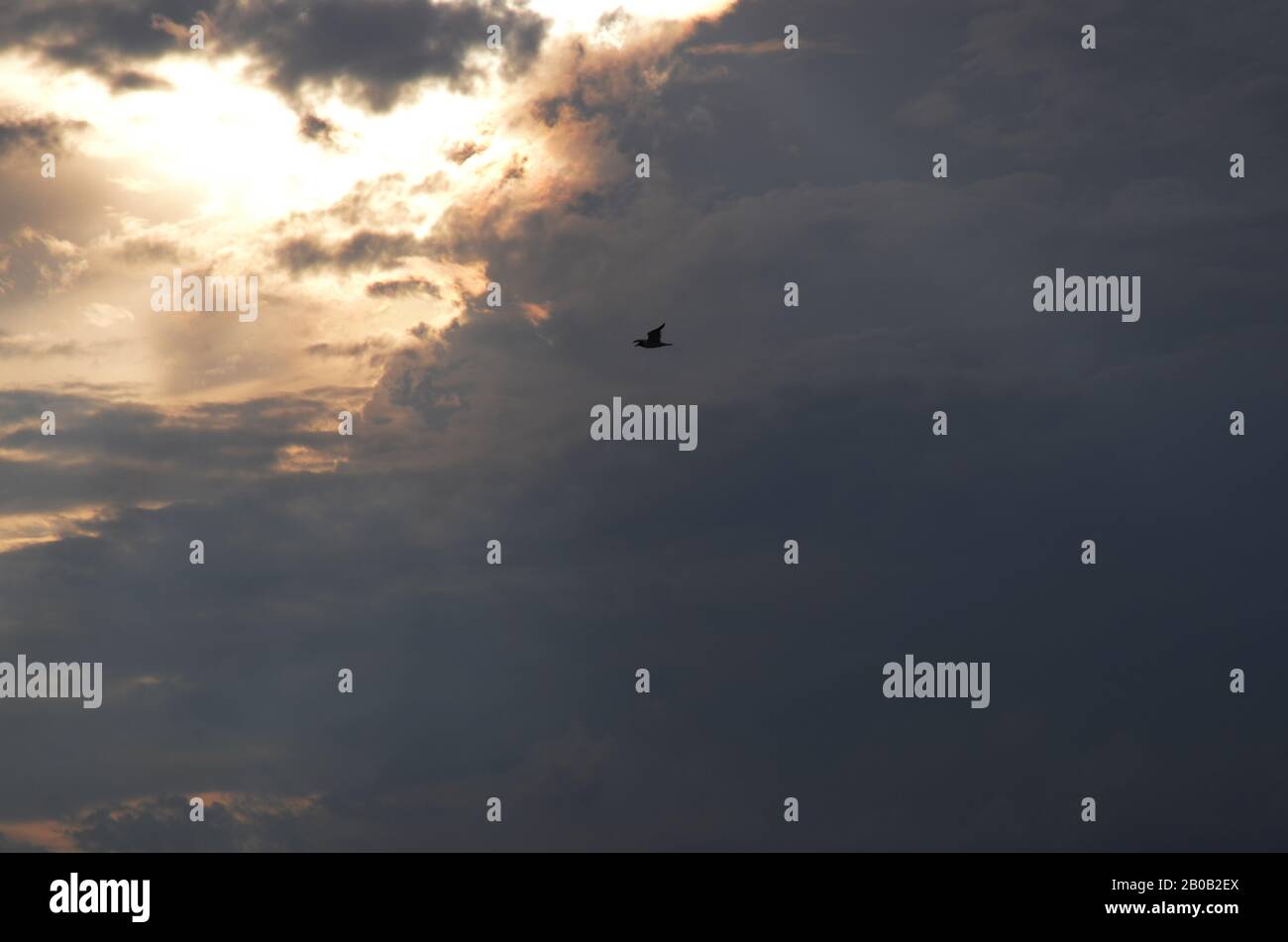 Cieli SYMPHONY I: un cielo d'argento tramonto in Atlantic City entusiasma. Foto Stock