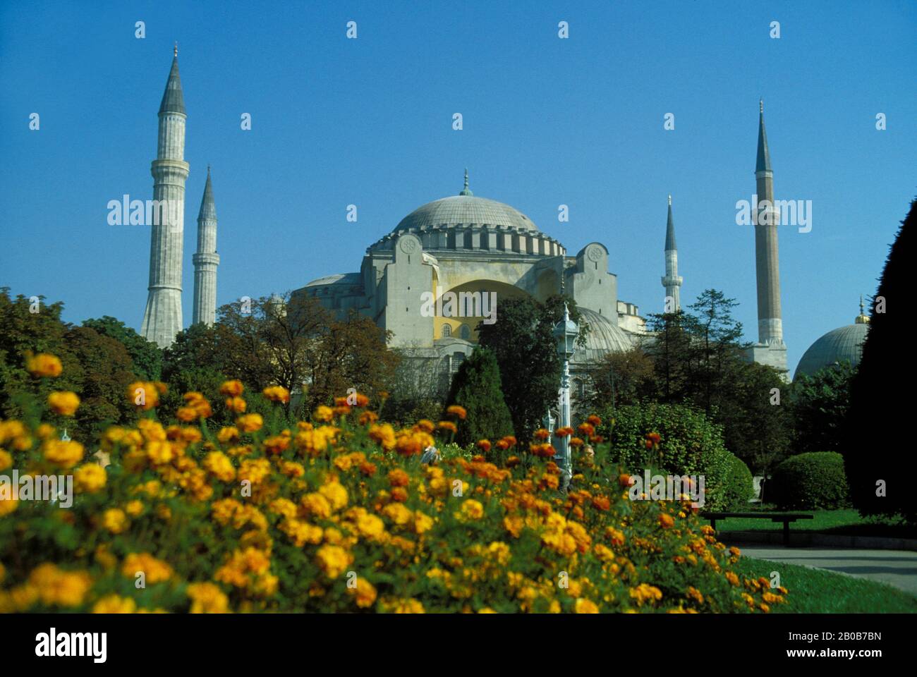 TURCHIA, ISTANBUL, FIORI CON HAGIA ST. SOFIA SFONDO Foto Stock