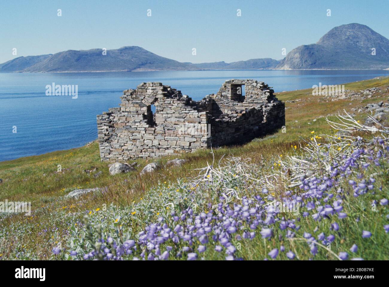 Rovine della vecchia chiesa di pietra a Hvalsey nella Groenlandia del sud. La Chiesa di Hvalsey è stata probabilmente costruita nel 14th secolo, ma è il meglio conservato del Foto Stock
