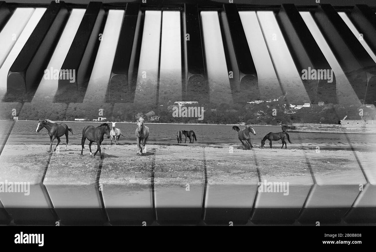 musica classica sfondo foto doppia esposizione di tasti piano e cavalli da corsa Foto Stock