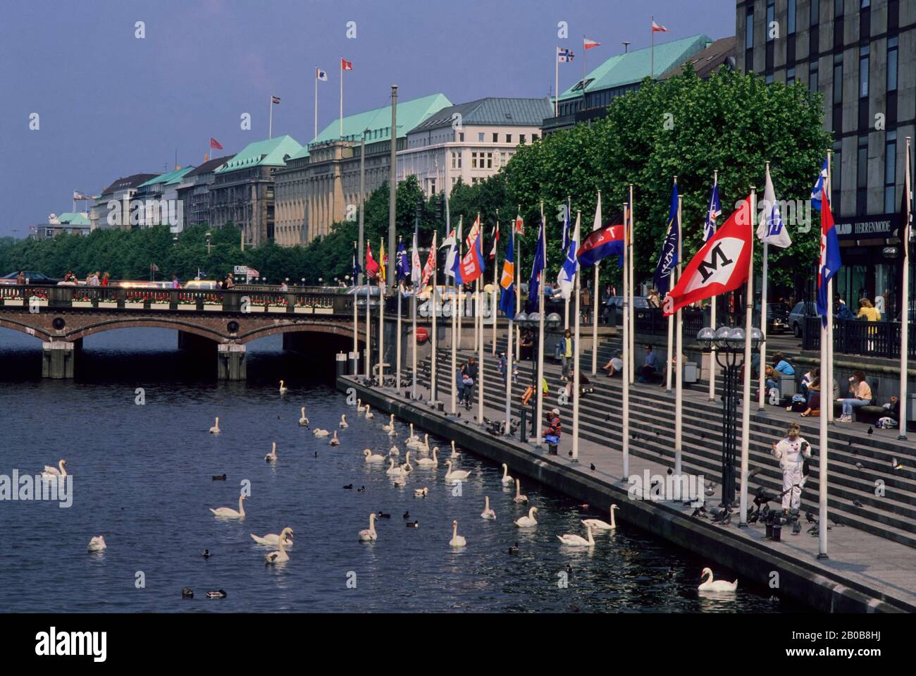 GERMANIA, AMBURGO, BINNENALSTER, CON CIGNI Foto Stock