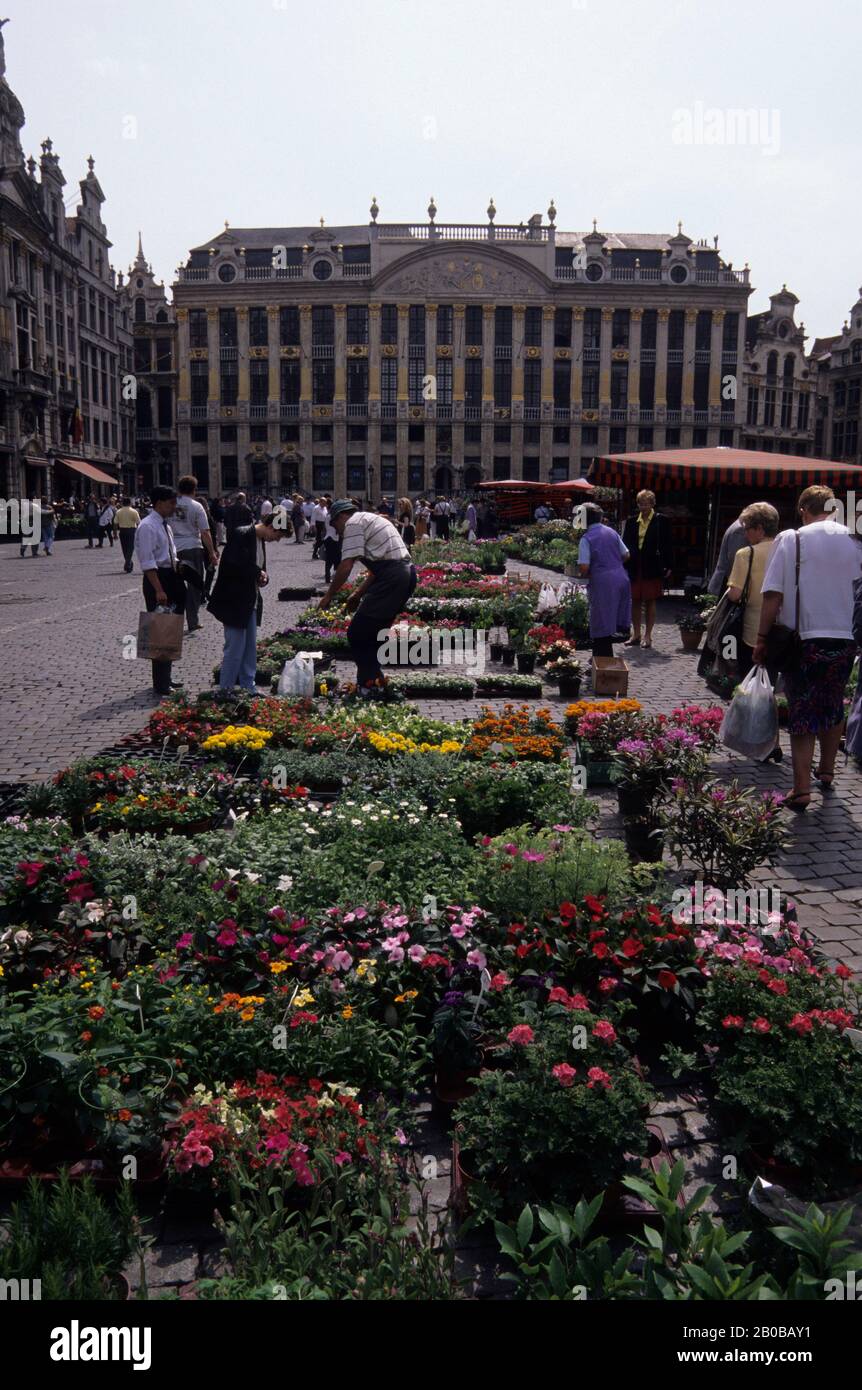 EUROPA, EUROPA, BELGIO, BRUXELLES, PIAZZA DELLA CITTÀ, FIORE STAND Foto Stock