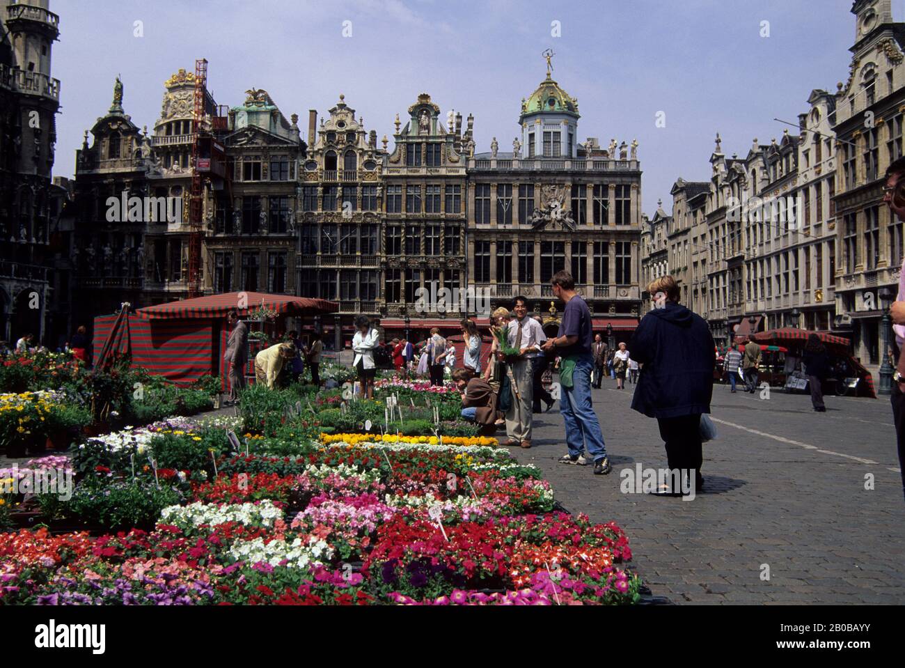 EUROPA, EUROPA, BELGIO, BRUXELLES, PIAZZA DELLA CITTÀ, FIORE STAND Foto Stock
