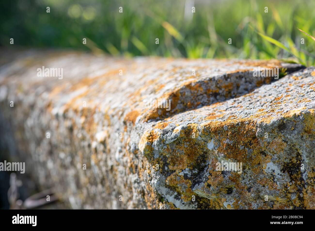 Trave in calcestruzzo ricoperta di lichen multicolore adagiata nell'erba Foto Stock