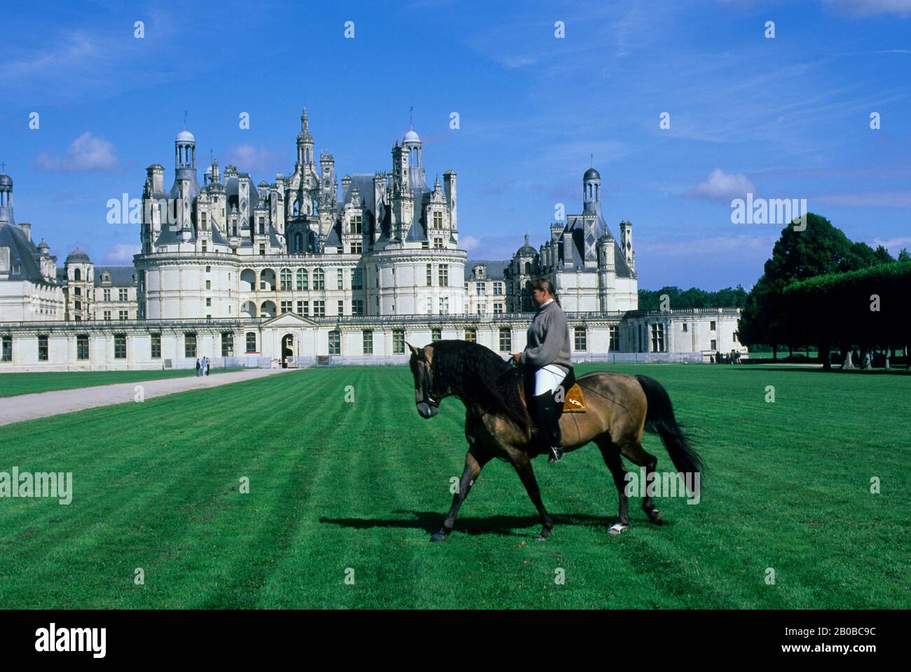 FRANCIA, REGIONE DELLA LOIRA, CHAMBORD CHATEAUX, CASTELLO, CAVALIERE A CAVALLO, DRESSAGE Foto Stock