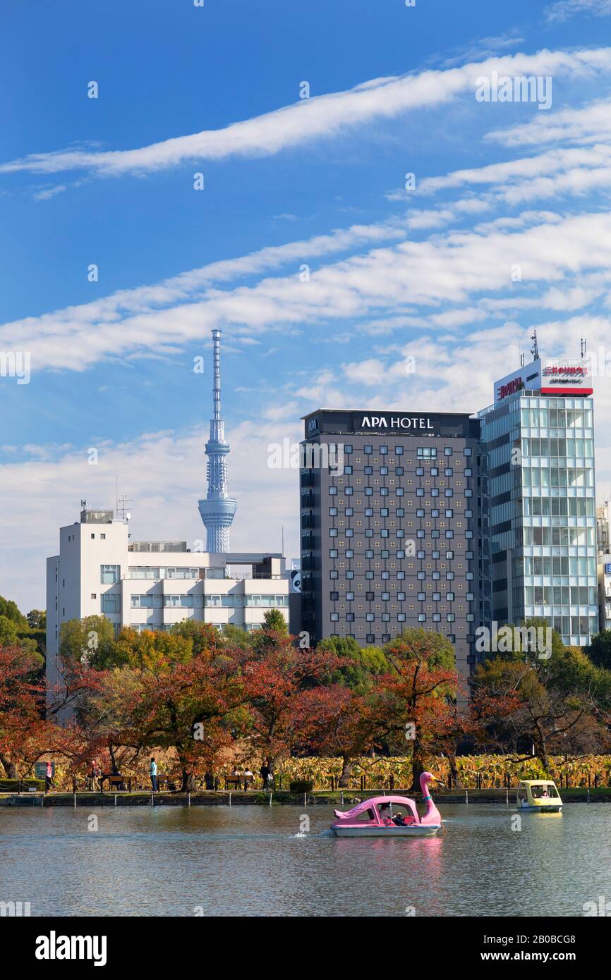 Shinobazu stagno nel Parco Ueno e Tokyo Skytree, Tokyo, Giappone Foto Stock