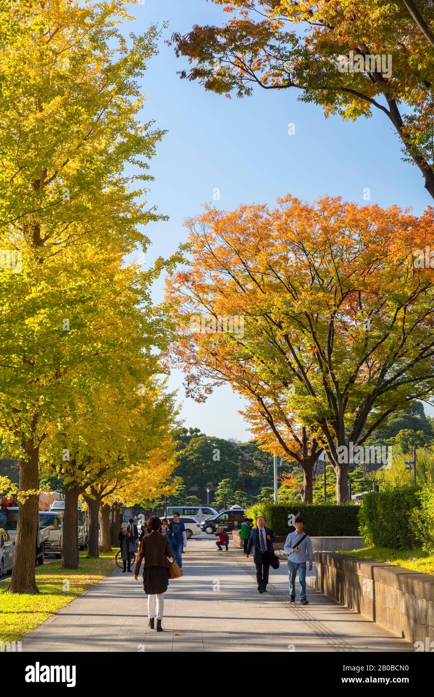 La gente che cammina oltre le foglie di autunno su Gyoko Dori Avenue, Tokyo, Giappone Foto Stock