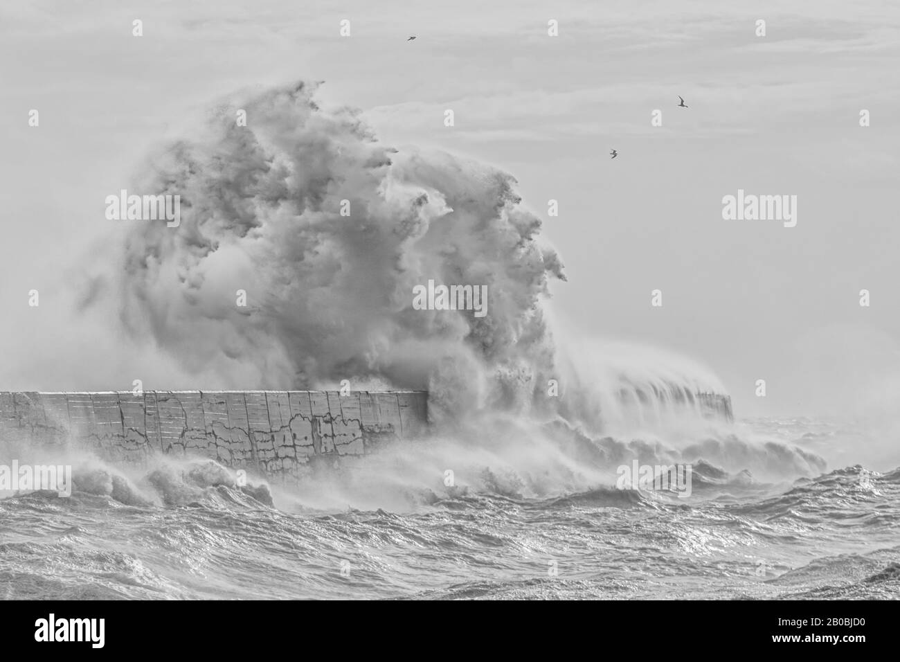 Newhaven, East Sussex. Il tempo del Regno Unito come Storm Ciara offre onde massicce e pioggia battente che hanno colpito l'Inghilterra il 10th febbraio 2020. Foto Stock