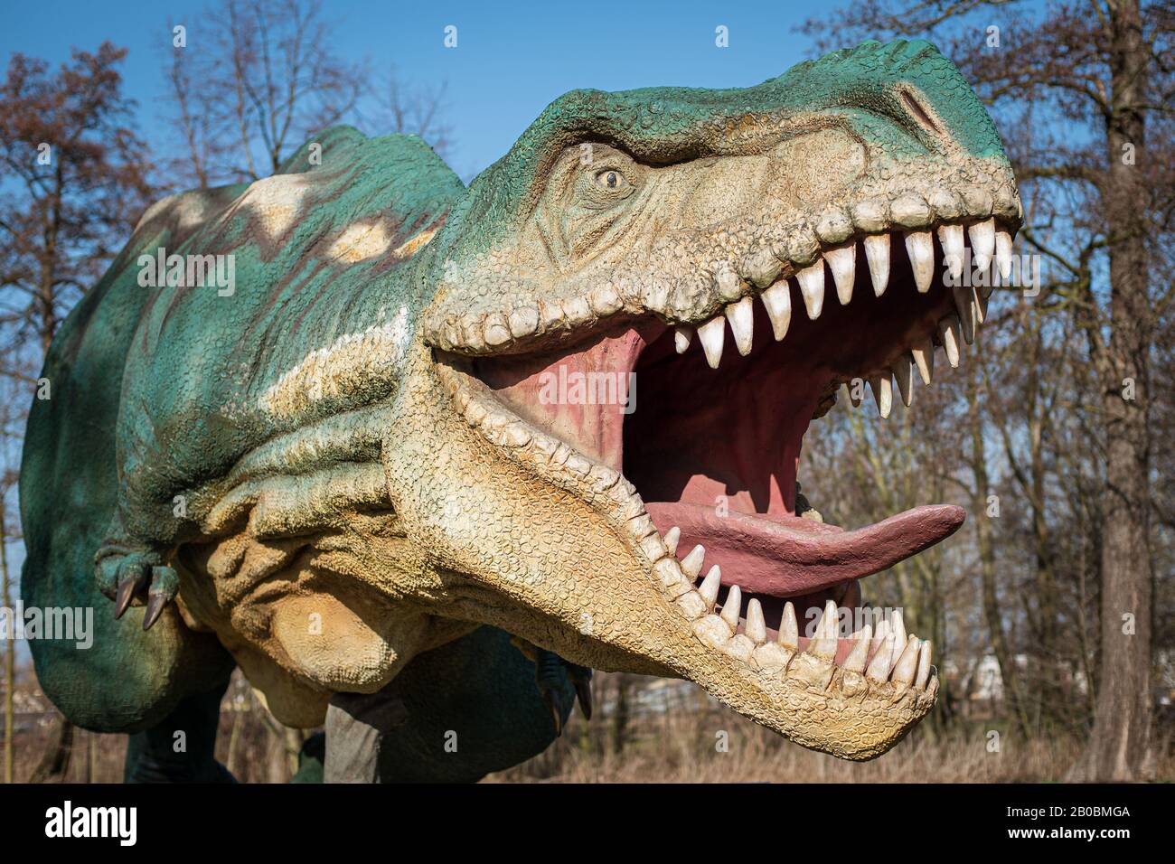 Lubin, POLONIA - 8 FEBBRAIO 2020 - modello Realistico di dinosauro Tyranosaurus Rex nel Parco Wroclawski. Il parco è una famosa attrazione turistica per i bambini Foto Stock