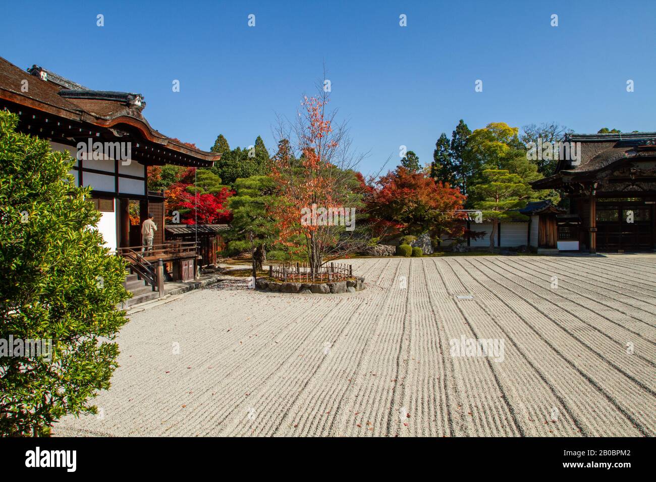 Giappone, Kyoto, Tempio Buddista Ryoan-Ji Zen, Vista del giardino di roccia secca di Ryoan-Ji Foto Stock