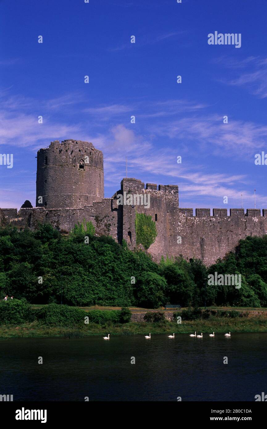 REGNO UNITO, GALLES, CASTELLO DI PEMBROKE, VISTA DALL'ALTRA PARTE DEL FIUME, CIGNI Foto Stock