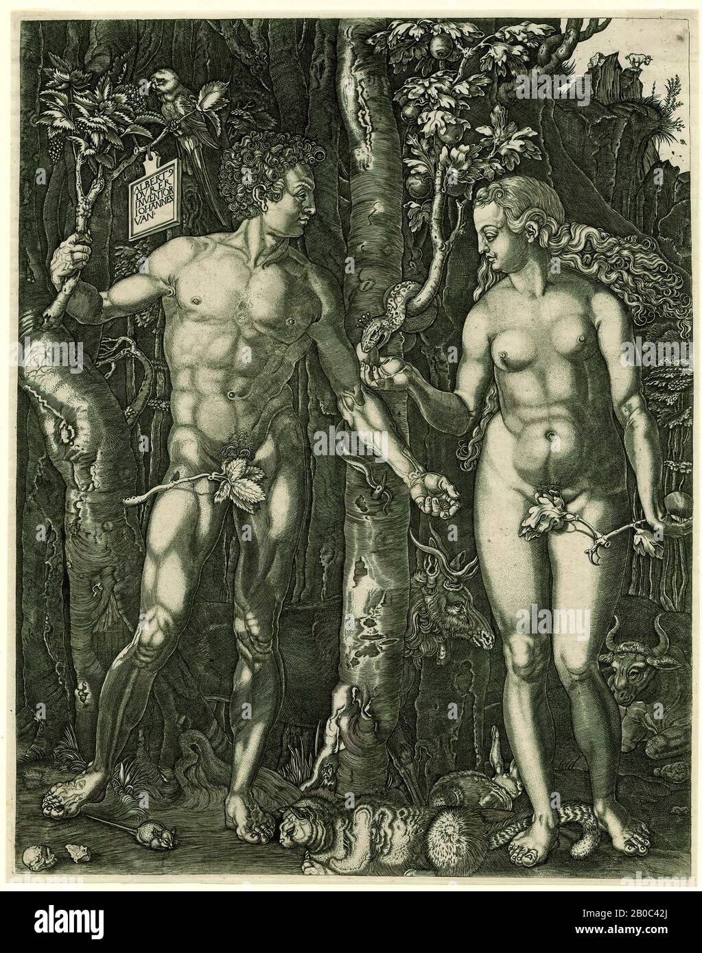 Johann Ladenspelder, Adam and Eve, n.d., incisione su carta cremosa, 9 9/16 in. X 7 1/2 in. (24,29 cm x 19,05 cm Foto Stock