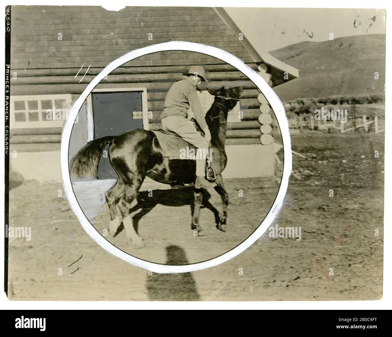 Herald Tribune fotografo - Acme, Principe di Galles Breaking a Horse on Canadian Ranch (Calgary), n.d., stampa gelatina argento Foto Stock