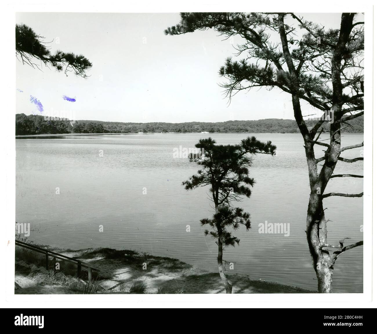 E.C. Martinson? C/o National Park Service Photographer (Massachusetts), Gull Pond, Wellfleet, Cape Cod, 6/3/1962, stampa gelatina argento Foto Stock