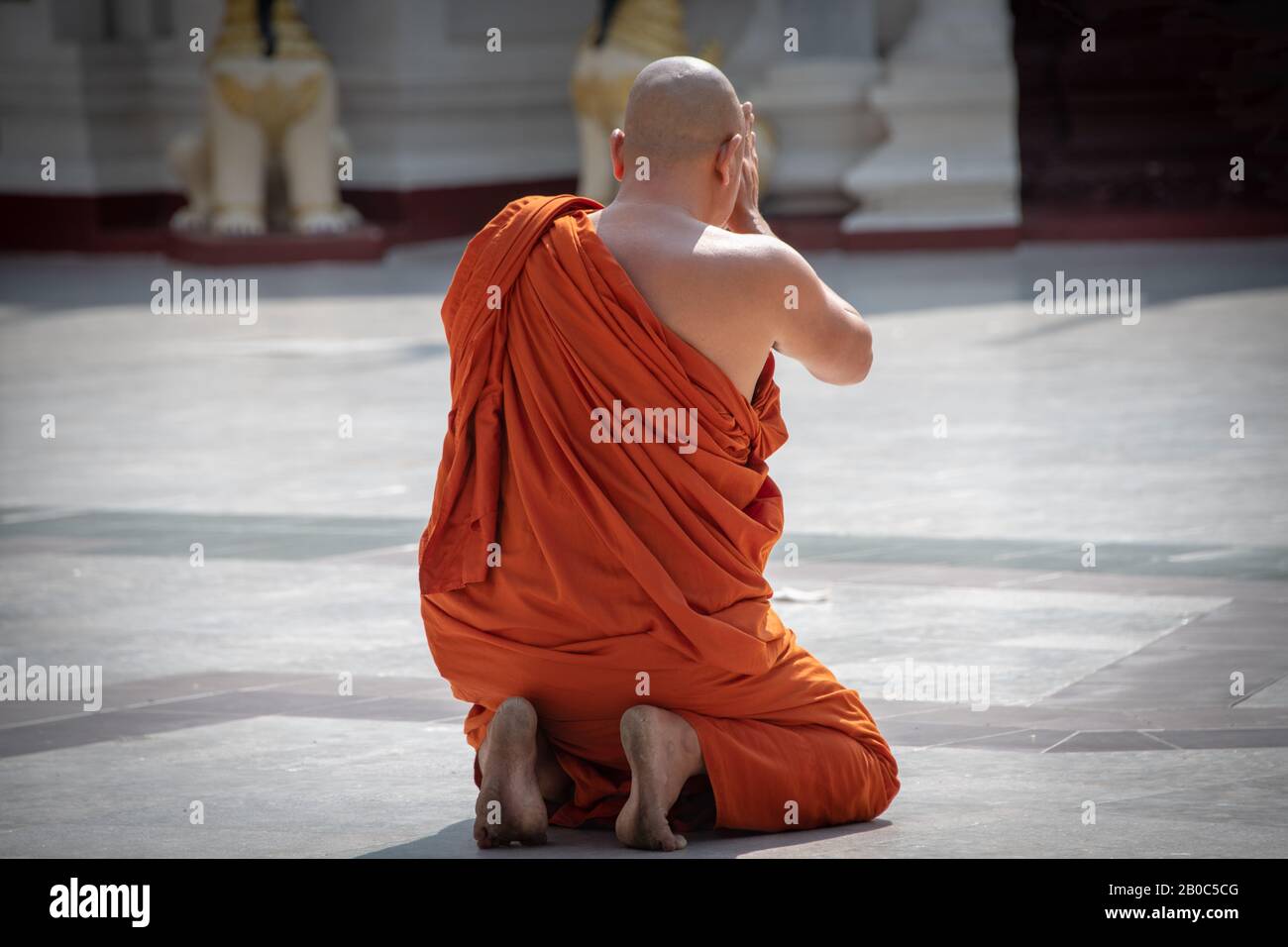 Un monaco buddista si inginocchia in preghiera alla Pagoda Shwedagon, Yangon, Myanmar. Foto Stock