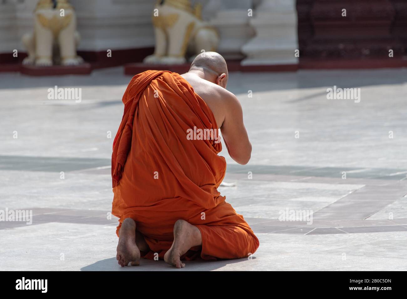 Un monaco buddista si inginocchia in preghiera alla Pagoda Shwedagon, Yangon, Myanmar. Foto Stock