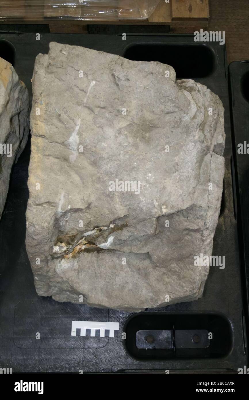 Frammento di pietra, frammento di costruzione, pietra, 48 x 38 x 27 cm, romana, olandese, sconosciuto, sconosciuto, sconosciuto Foto Stock