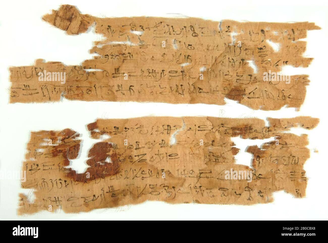 Egitto, mummia copertura, bendaggio, biologico, lino, frammento 1, h., 10,4 cm, b., 35,7 cm Foto Stock