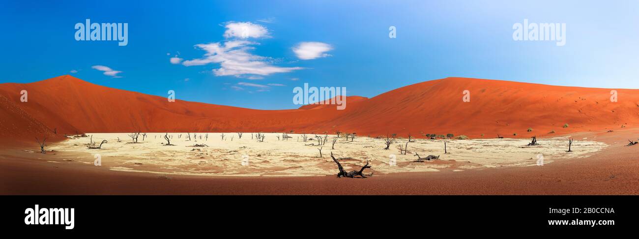 Panorama di dune rosse e alberi morti di cammello a Deadvlei, Namibia Foto Stock