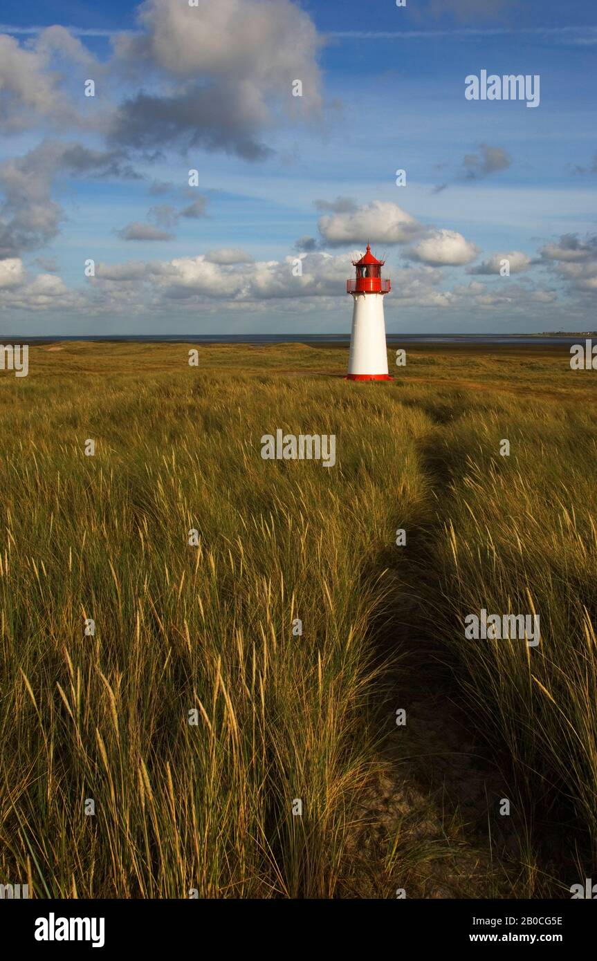 GERMANIA, SCHLESWIG HOLSTEIN, MARE DEL NORD, ISOLE FRISONE DEL NORD, ISOLA DI SYLT, ELLENBOGEN VICINO ALLA LISTA, LIGHTHOUSE LIST-WEST, TRAIL Foto Stock