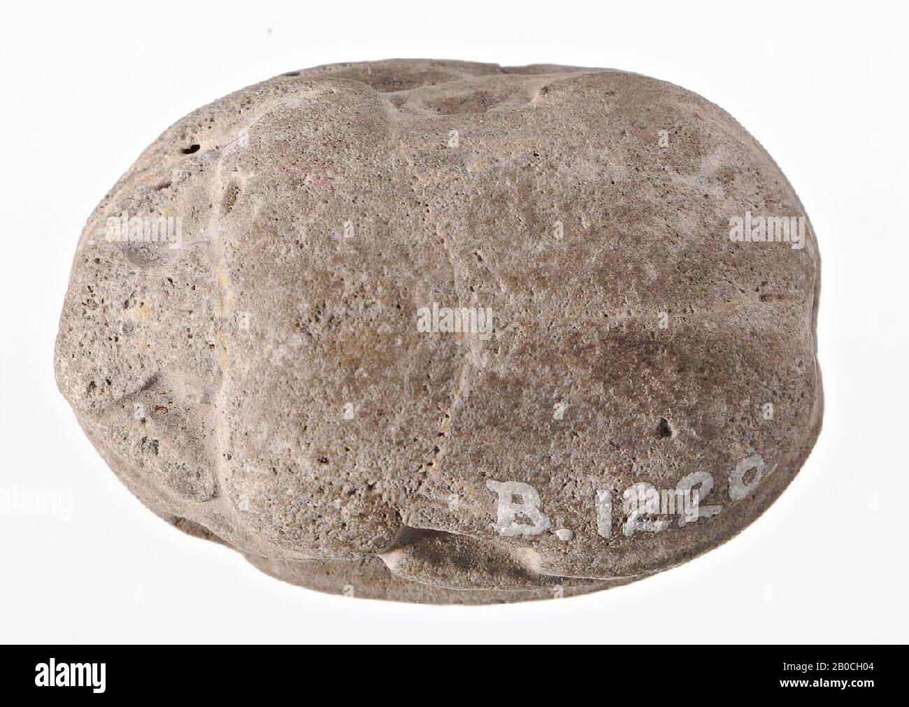 Scarab, Mencheperre, Amontrigram, foca, scarab, faience, 2,8 cm, nuovo Regno, Dinastia 18th, Thutmosis III (?), Egitto Foto Stock