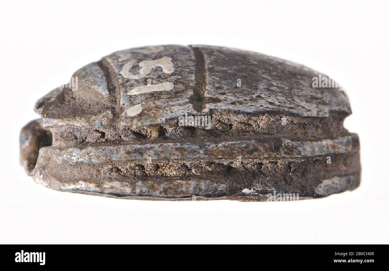 Scarabeo, Mencheperre, Amontrigram, uraeus, 2 pezzi, foca, scarabeo, faience, 1,5 cm, nuovo Regno, Dinastia 18th, Thutmosis III (?), Egitto Foto Stock