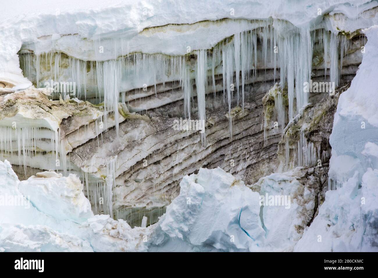 Ghiaccioli nel pacchetto neve sull'Isola di Beagle, Isole Danger, Mare Weddell, Antartide. Foto Stock