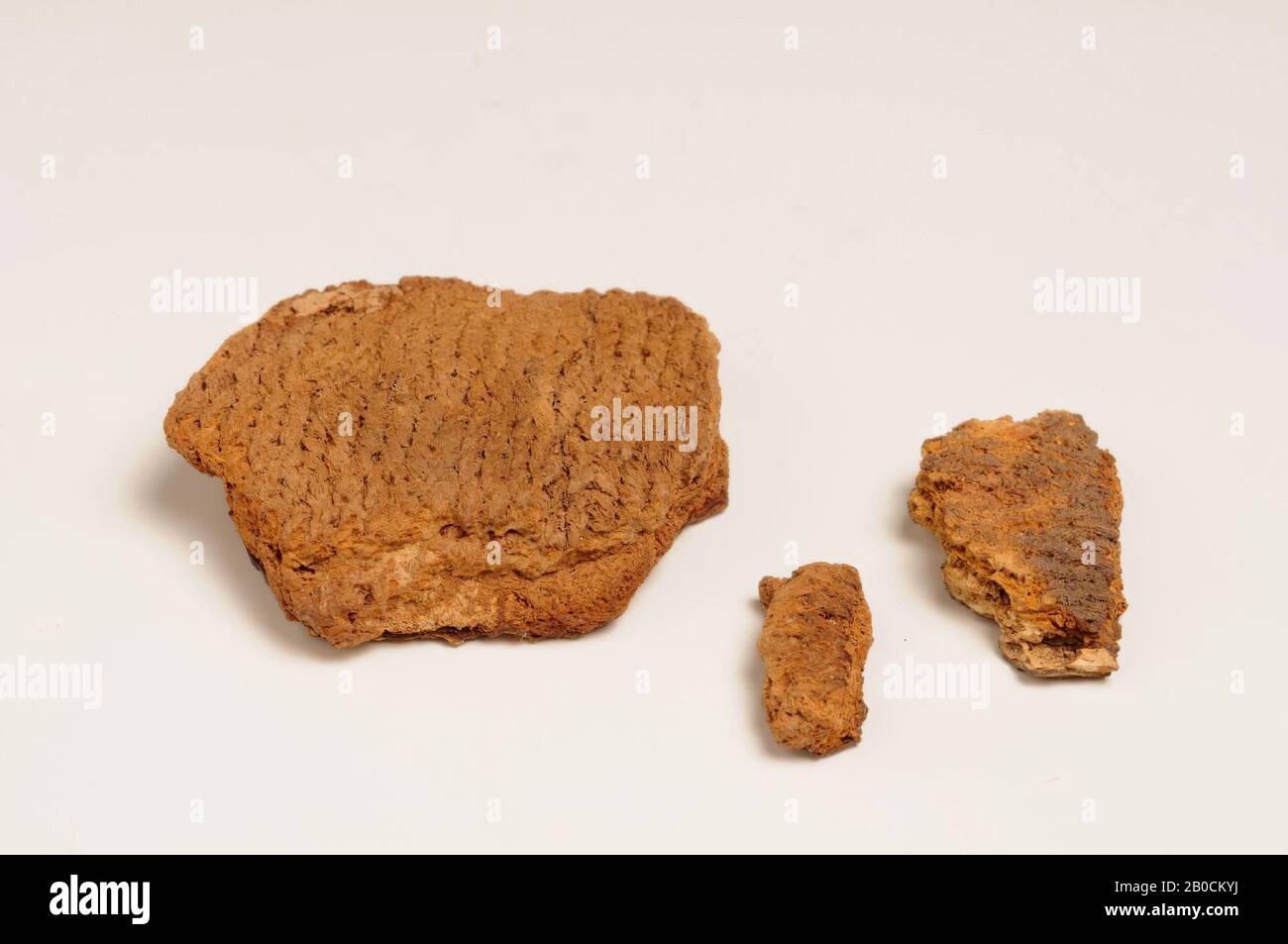 2 piccoli pezzi, appartenenti al terzo, che è in accordo permanente., carta tissue, 2 pezzi, organico, tessile, cuoio, legno, vmeb, Paesi Bassi, Utrecht, Rhenen, Rhenen, grave 714 Foto Stock